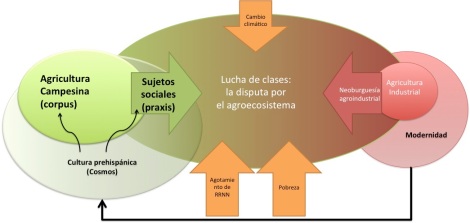 La disputa por el agroecosistema de maíz en México